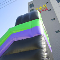 Lila Inflatable Bounce Slide KombinationGB495