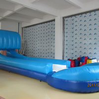 inflatable bounce housesGI051