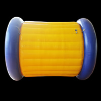 2011 inflatable sportGW021