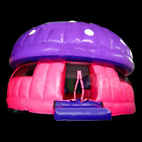 bouncer inflatableGB313