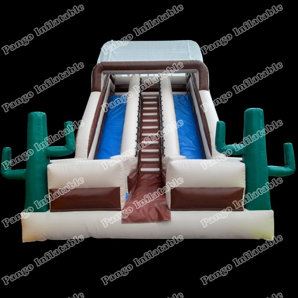 inflatable Cactus slideGI102