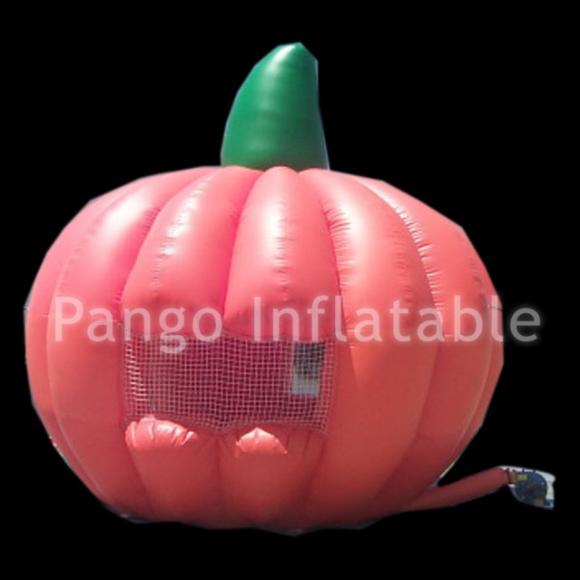 Inflatable Bouncers ToyGB293